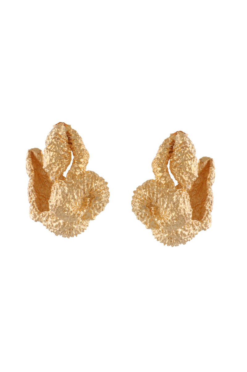 STATEMENT MULTI SEASHELL HOOP EARRINGS